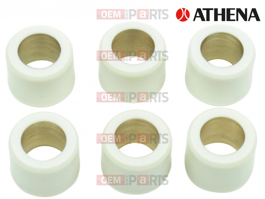 Variator Roll (16x13 - 11g)