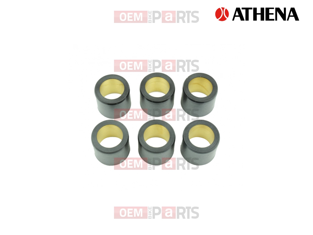 Variator Roll (25x22.2 - 20g)