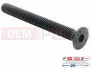 PIAGGIO X9 500 Evolution 1B006376 - Vis