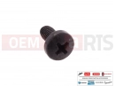 PIAGGIO 20 pc - 433800 - Vis