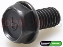 KAWASAKI 2014 92003-208 - Schraube