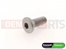 KAWASAKI 2014 92150-1747 - Schraube (10x25)