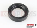 DUCATI 2009 Monster 1100 93040491A - Dichtring