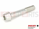 DUCATI 2007 Superbike 1098 S Tricolore 77913311D - Schraube (M10x60)
