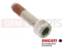 DUCATI 2003 Multistrada 1000 5 pc - 77110518B - Vis