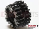 DUCATI 2007 Superbike 1098 S Tricolore 17210033C - Gear wheel (3/4 th T20/22)