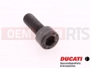 DUCATI 2009 Monster 1100 5 kosov - 77210621A - Vijak