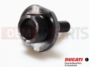 DUCATI 2007 Superbike 1098 S Tricolore 45110462A - MOBILE TENSIONER PIN
