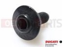 DUCATI 2011 Multistrada 1200 77214411AA - Schraube