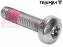 Triumph 2013 STREET TRIPLE 560477 > T3331041 - Screw, Pan/Hd, Tx, M6 x 25, En