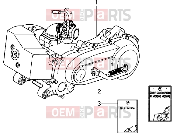 Engine » Engine - Piaggio Sfera RST 80