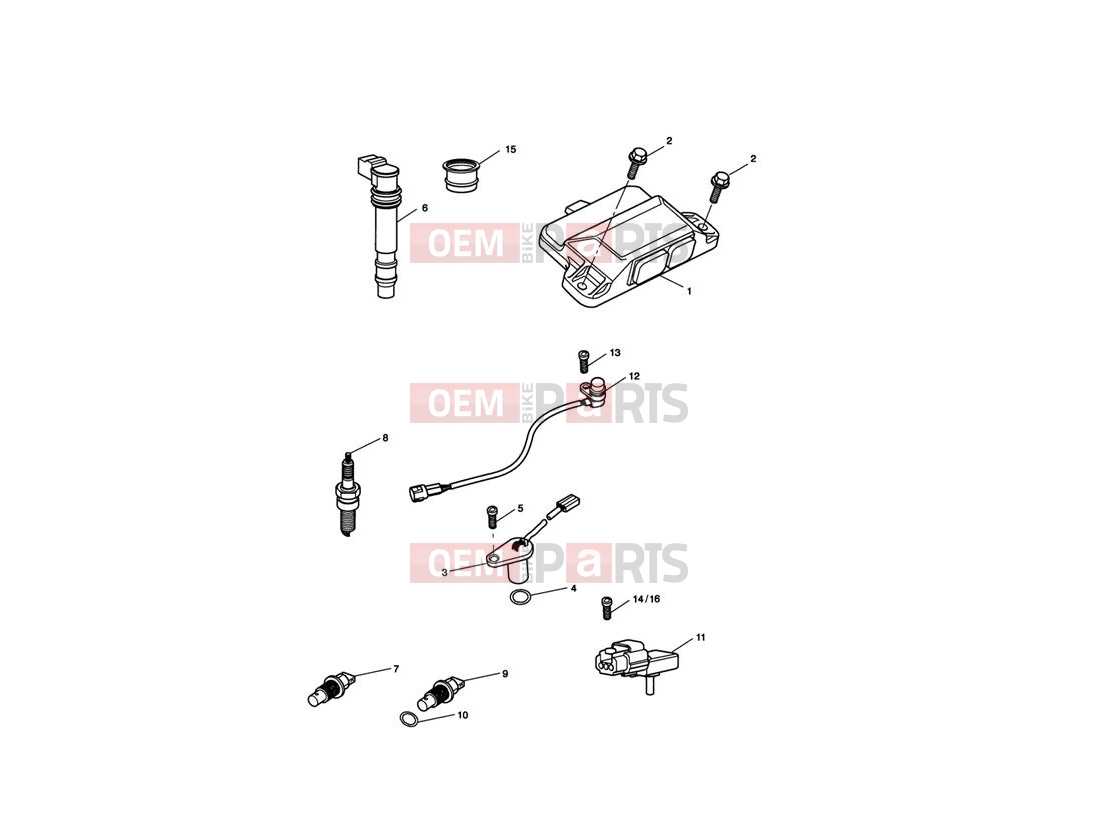 Engine Management System - Triumph SPRINT ST 208167 > 2010