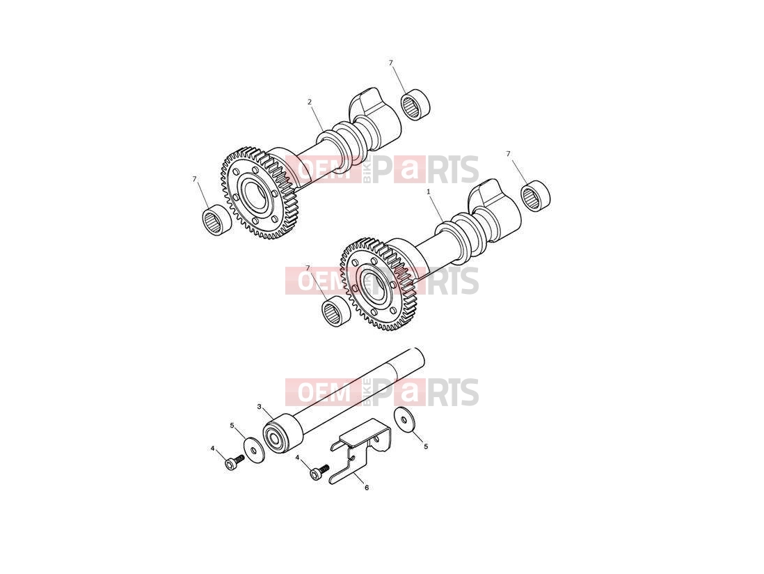Triumph 2012 SPEEDMASTER EFI Balancer