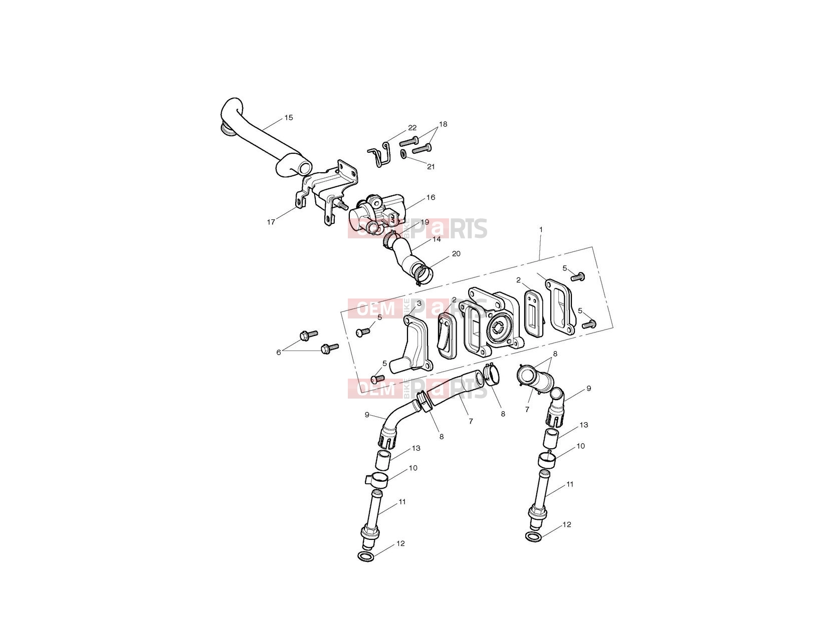 Triumph 2012 SCRAMBLER EFI Emissions Control