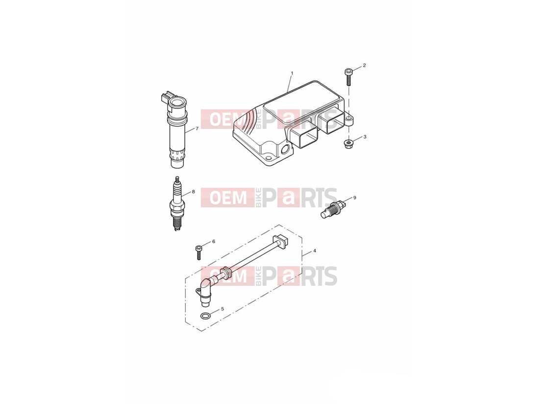 Triumph 2001 TT600 Engine Management System