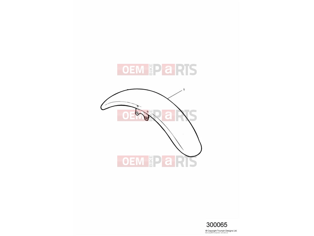 Triumph 1995 THUNDERBIRD Two Tone Front Mudguard