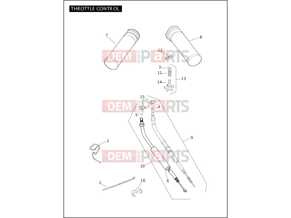 Harley-Davidson 2006 SOFTAIL NIGHT TRAIN  - FXSTB THROTTLE CONTROL