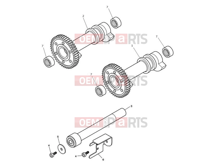 Triumph 2015 SCRAMBLER EFI Balancer