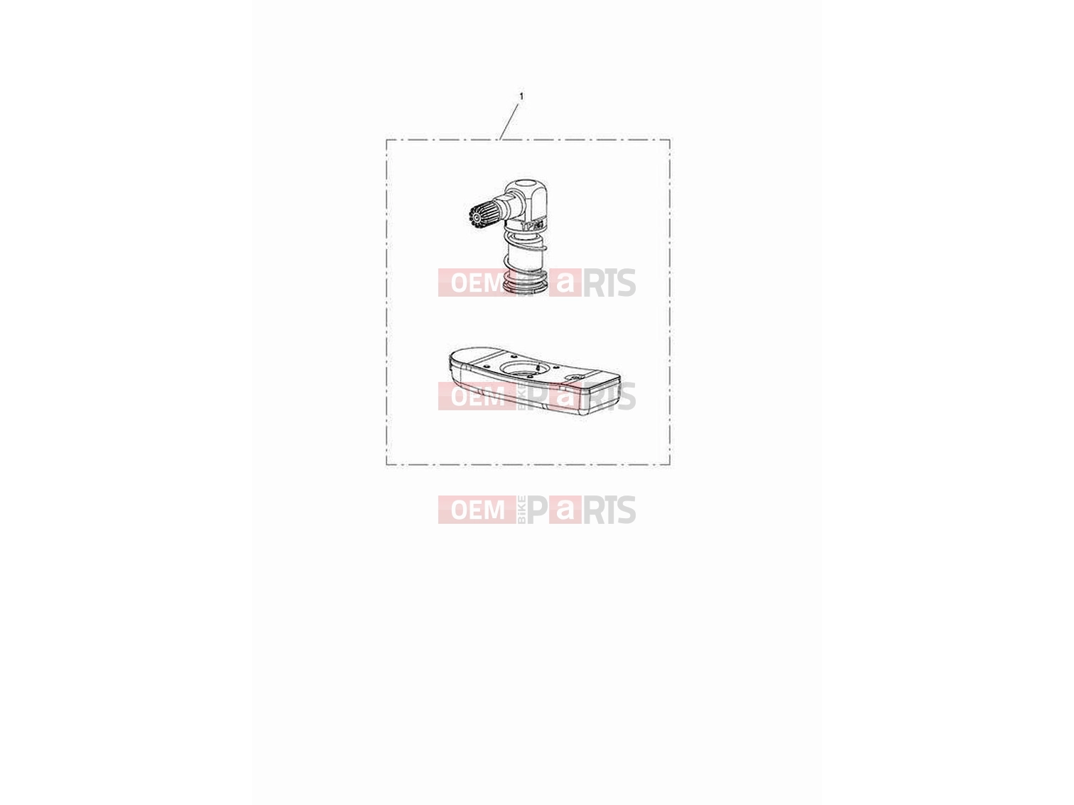 Triumph 2023 Rocket 3 R TPMS