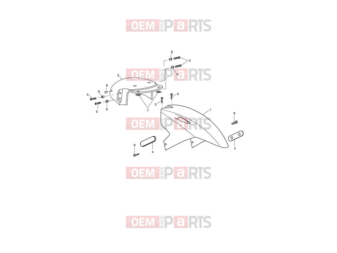 Triumph 2013 SPRINT GT Front Mudguard