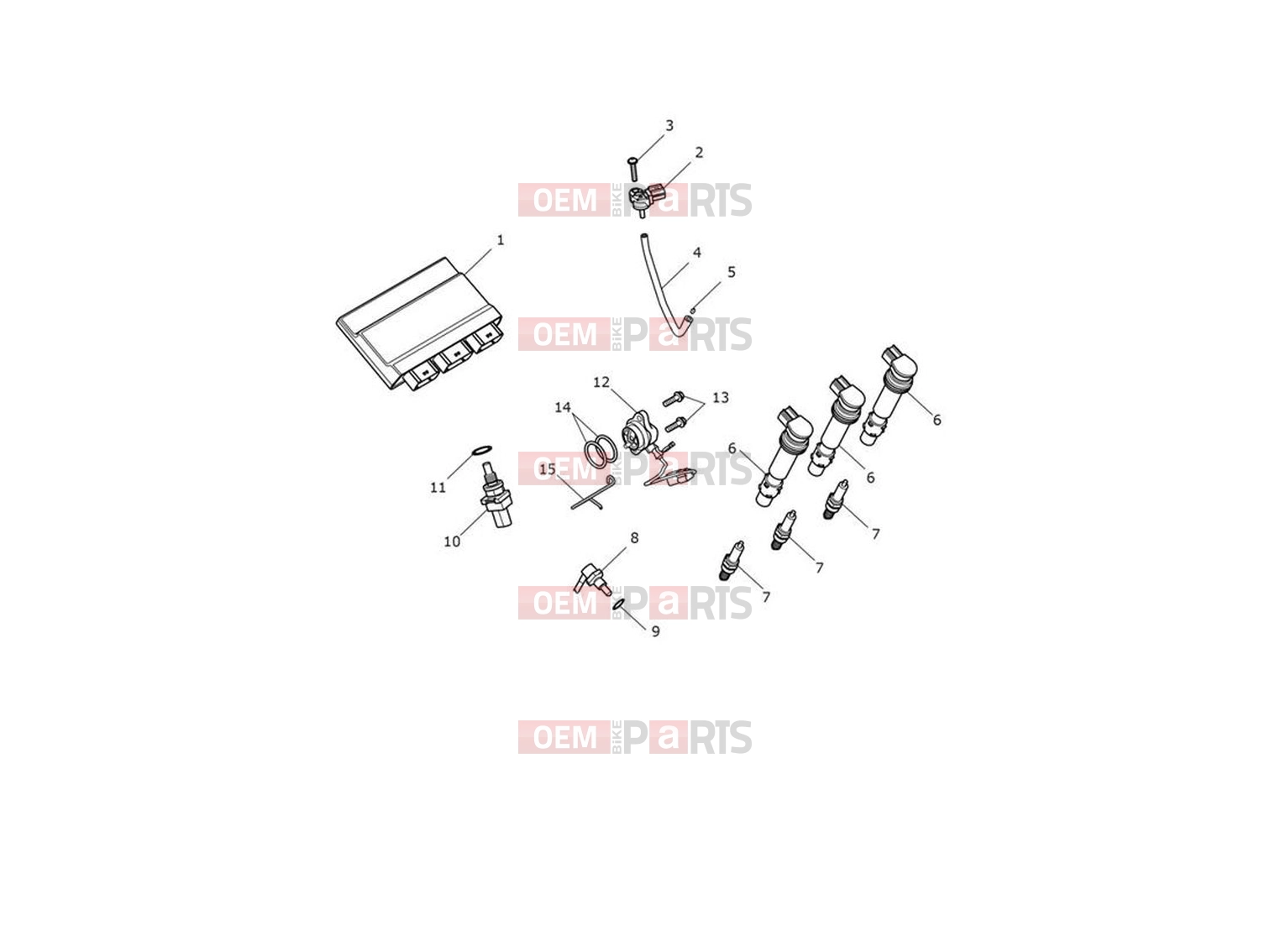Engine Management - Triumph Trident 660 2024