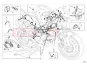 DUCATI 2014 Monster 795 WIRING HARNESS » WIRING HARNESS