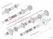 DUCATI Monster 1100 DIESEL GEAR BOX » UNCLASSIFIED