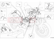 DUCATI Monster 696 ANNIVERSARY WIRING HARNESS » WIRING HARNESS