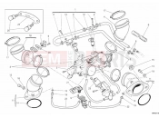 DUCATI 2013 Monster 796 ABS ANNIVERSARY THROTTLE BODY » INTAKE, CARBURETTOR
