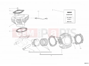 DUCATI 2010 Hypermotard 796 CYLINDER - PISTON » ENGINE CASE