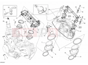DUCATI 2009 Superbike 1098 R Bayliss THROTTLE BODY » INTAKE, CARBURETTOR