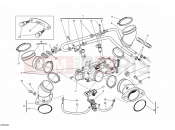 DUCATI Monster 696 THROTTLE BODY » INTAKE, CARBURETTOR