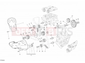 DUCATI Superbike 1098 S TIMING BELT » UNCLASSIFIED