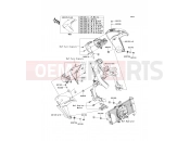 KAWASAKI 2011 Shroud