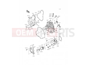 KAWASAKI 2013 Engine Cover(s)