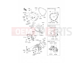 KAWASAKI W800 (EJ800ADF) Left Engine Cover(s)
