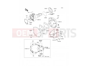 KAWASAKI W800 (EJ800ADF) Right Engine Cover(s)