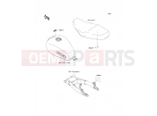 KAWASAKI W800 (EJ800ADF) Labels