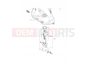 KAWASAKI 2013 Fuel Pump