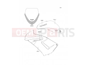 KAWASAKI 2007 Decals(Ebony)