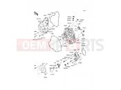 KAWASAKI 2007 Engine Cover(s)