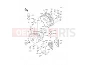 KAWASAKI 2000 Engine Cover(s)