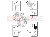 Engine Electric System - MV Agusta 2004-2006 F4 1000S