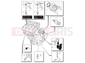 Engine Electric System - MV Agusta 2006-2007 F4 1000R