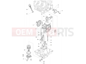 Lubrication System - MV Agusta Rivale 800