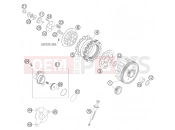 CLUTCH - KTM 65 SX (6001G6) [EU] 2007