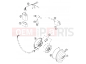 KTM 105 SX (6101D5) [EU] 2004 IGNITION SYSTEM