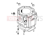 KTM 640 LC4-E (972606) [EU] 2000 CYLINDER