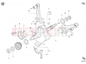 DUCATI 2006 Monster S4R CRANKSHAFT » ENGINE CASE