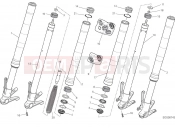 DUCATI Monster 821 FRONT FORK [MOD:M 821;XST:AUS,EUR,FRA,JAP]